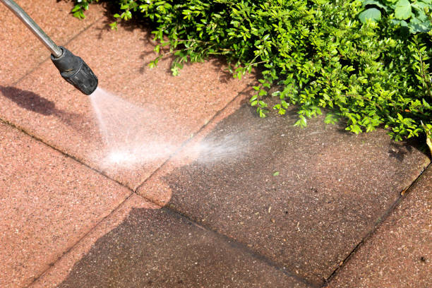 Best Roof Pressure Washing  in Amity, OR